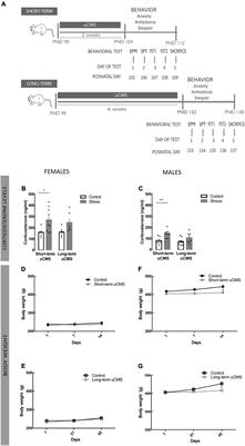 The Duration of Stress Determines Sex Specificities in the Vulnerability to Depression and in the Morphologic Remodeling of Neurons and Microglia